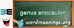 WordMeaning blackboard for genus eriocaulon